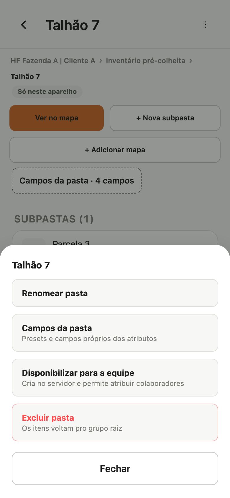 Menu da pasta com Renomear pasta, Campos da pasta, Disponibilizar para a equipe e Excluir pasta.