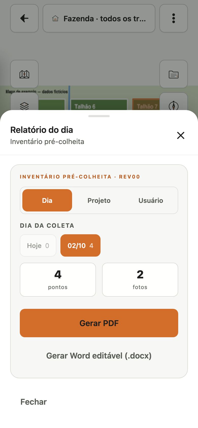 Tela antiga Relatório do dia, capturada no build 108, com abas Dia, Projeto e Usuário.