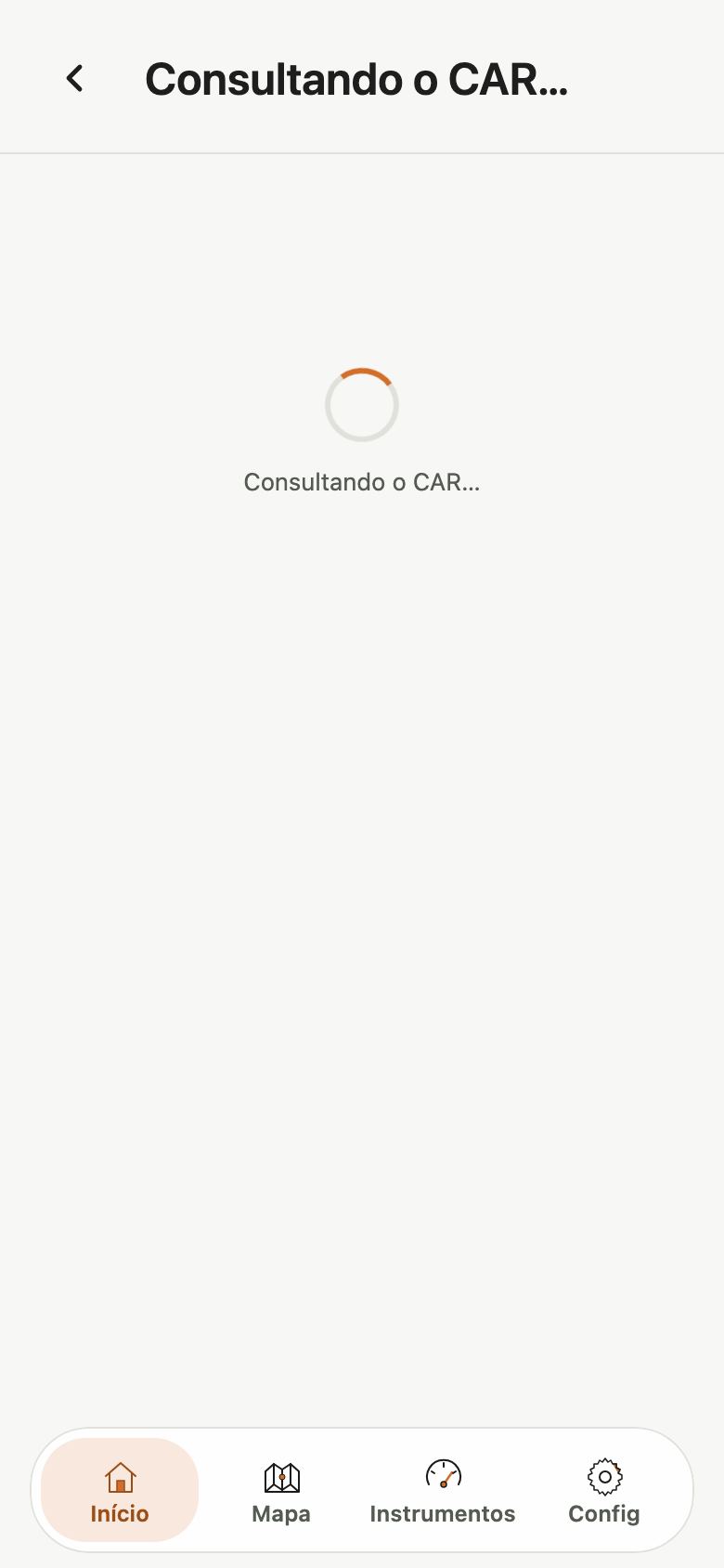 Tela Consultando o CAR com um indicador de carregamento.