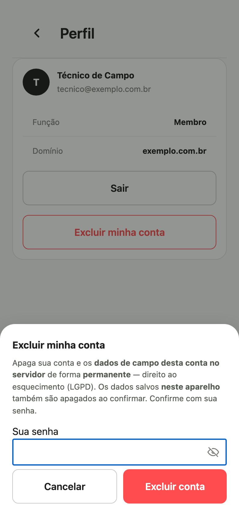 Janela Excluir minha conta com o aviso de exclusão permanente, o campo Sua senha e os botões Cancelar e Excluir conta.
