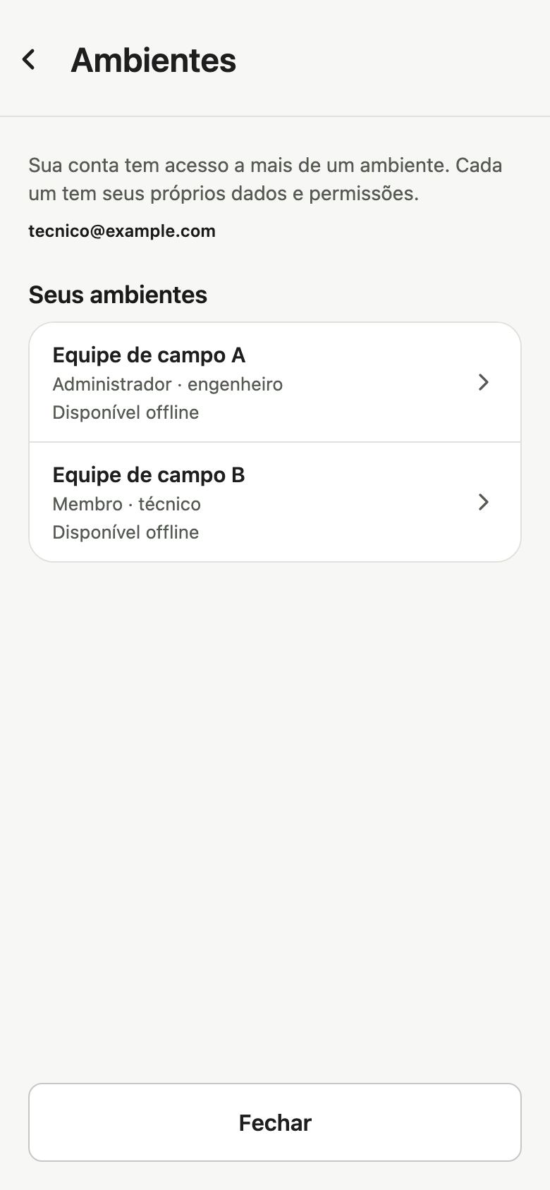 Tela Ambientes com dois ambientes fictícios disponíveis offline e uma opção de seleção.
